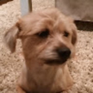 Meet your Posher, Ed